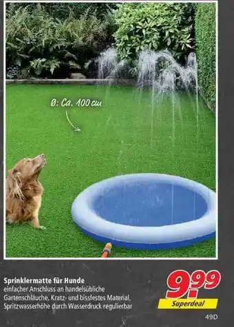 Marktkauf Sprinklermatte Für Hunde Angebot