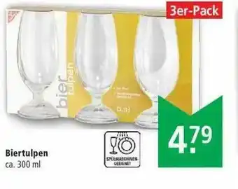 Marktkauf Biertulpen Angebot