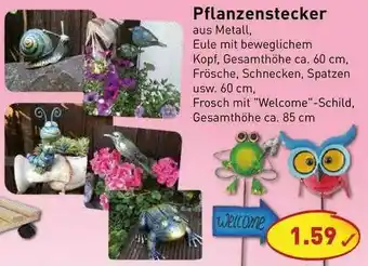 PicksRaus Pflanzenstecker Angebot