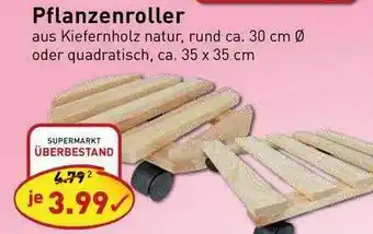 PicksRaus Pflanzenroller Angebot