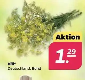 NETTO Dill Angebot