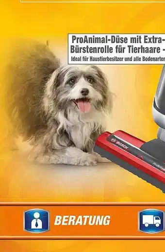 HEM Expert ProAnimal Düse mit Extra Bürstenrolle für Tierhaare Angebot