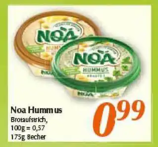 inkoop Noa Humm Us Angebot