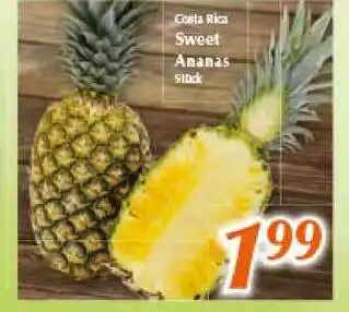 inkoop Costa Rica Sweet Ananas Angebot