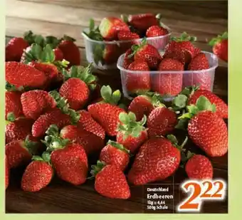 inkoop Deutschland Erdbeeren Angebot