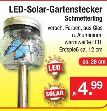 Zimmermann LED Solar Gartenstecker Schmetterling Angebot