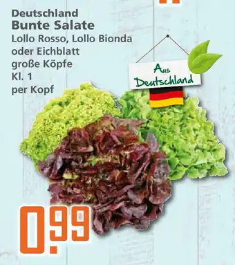 Klaas und Kock Deutschland Bunte Salate Angebot