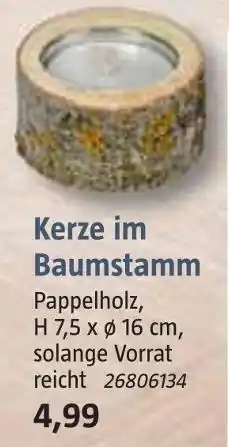 Bauhaus Kerze im baumstamm Angebot