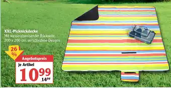 Globus XXL Picknickdecke Angebot