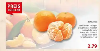 basic Satsumas Angebot