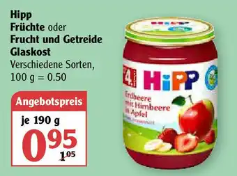 Globus Hipp Früchte oder Frucht und Getreide Glaskost 190g Angebot