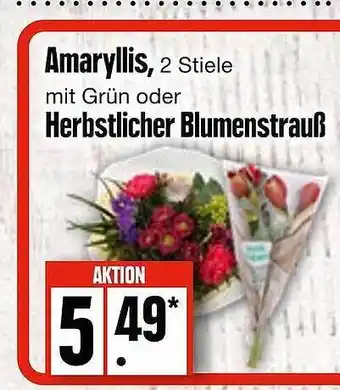 Edeka Amaryllis oder herbstlicher blumenstrauß Angebot