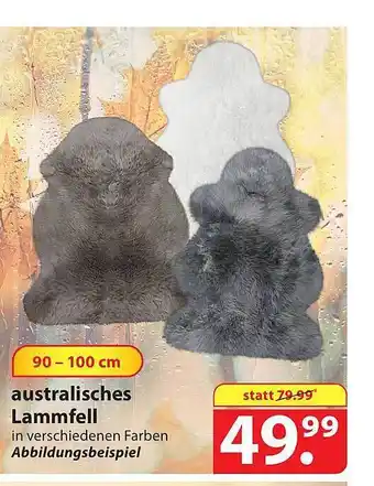 Famila Nord Ost Australisches lammfell Angebot