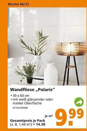 Globus Baumarkt Wandfliese „polaris“ Angebot