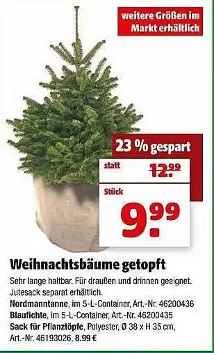 Hagebau Weihnachtsbäume getopft Angebot