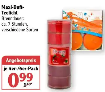 Globus Maxi Duft Teelicht Angebot