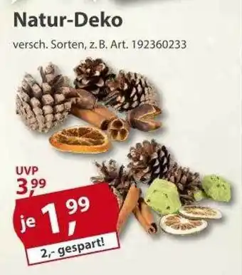 Sonderpreis Baumarkt Natur-deko Angebot