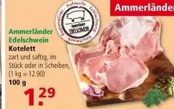 Multi Markt Ammerländer edelschwein kotelett Angebot