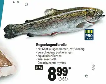 METRO Regenbogenforelle Angebot