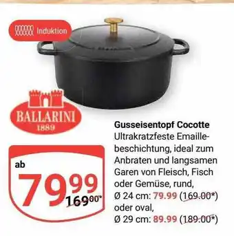 Globus Ballarini gusseisentopf cocotte Angebot