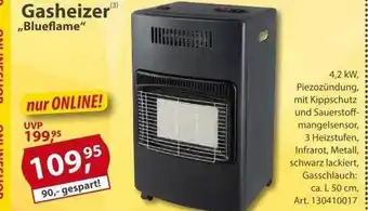 Sonderpreis Baumarkt Gasheizer „blueflame“ Angebot