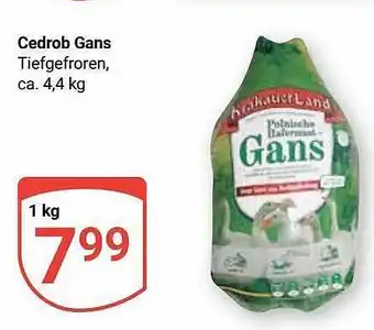 Globus Cedrob gans Angebot