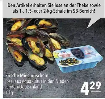 CITTI Markt Frische miesmuscheln Angebot