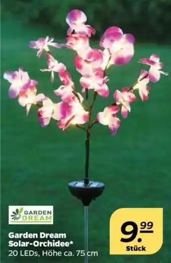 NETTO Garden Dream Solar Orchidee Angebot