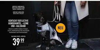 Kölle Zoo Kentucky reflective hundemantel, -leine und -halsband Angebot