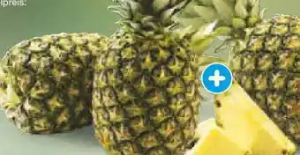 Netto Marken-Discount Ananas extra sweet Angebot