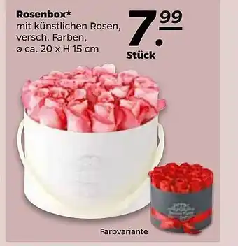 NETTO Rosenbox Angebot