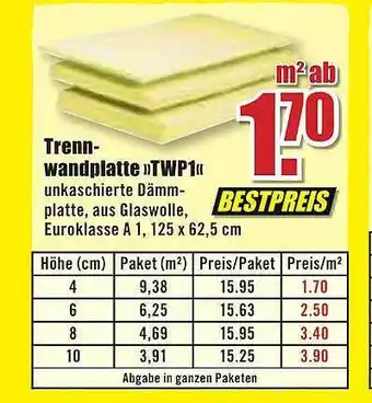 B1 Discount Baumarkt Trenn wandplatte twp1 Angebot