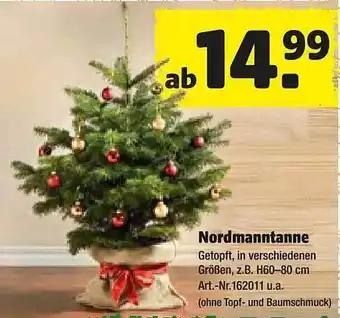 Hagebau Nordmanntanne Angebot