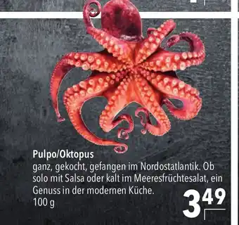 CITTI Markt Pulpo/Oktopus 100g Angebot