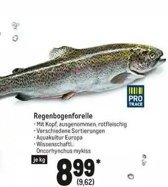 METRO Pro Trace Regenbogenforelle Angebot