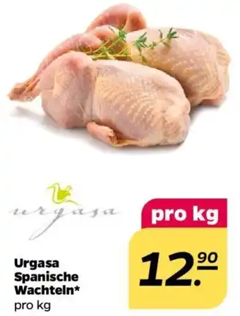 NETTO Urgasa Spanische Wachteln Angebot