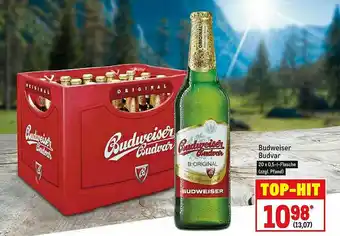 METRO Budweiser Budvar Angebot