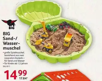 Selgros Big Sand- Oder Wassermuschel Angebot