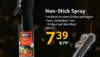 Selgros Non-stick Spray Angebot