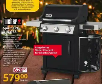 Selgros Weber Spirit Epx 315 Gbs Angebot