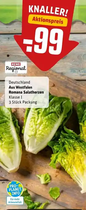 REWE Aus Westfalen Romana Salatherzen Angebot