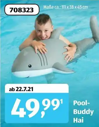 Aldi Süd Pool Buddy Hai Angebot