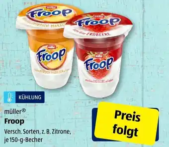 Aldi Süd Müller Froop 150g Becher Angebot