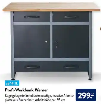 Aldi Nord Profi Werkbank Werner Angebot