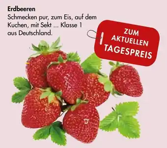 Galeria Markthalle Erdbeeren Angebot