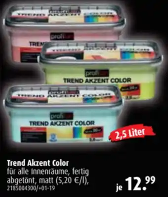 ROLLER Profitan Trend Akzent Color 2,5L Angebot