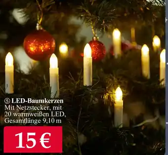 Woolworth LED Baumkerzen Angebot