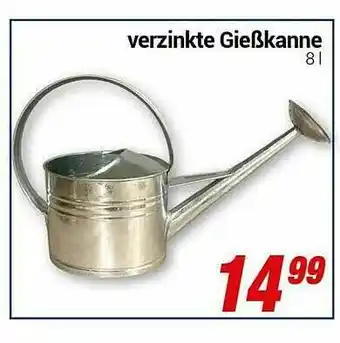 CENTERSHOP Verzinkte Gießkanne Angebot