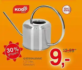 KODi Giesskanne Angebot