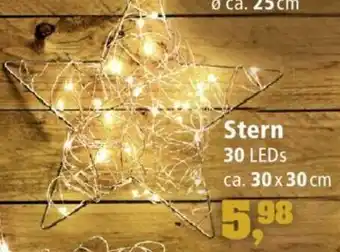 Thomas Philipps Stern 30 LEDs Angebot